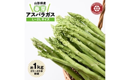 [令和8年産]先行受付!春芽アスパラガス約1kg(L〜2Lサイズ 25〜45本前後)