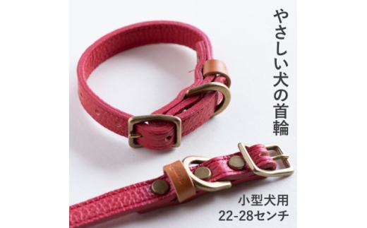 首輪 本革 イタリアンレザー レッド 小型犬用 (22-28センチ)ペット用品＜dc-01ss＞【1663059】