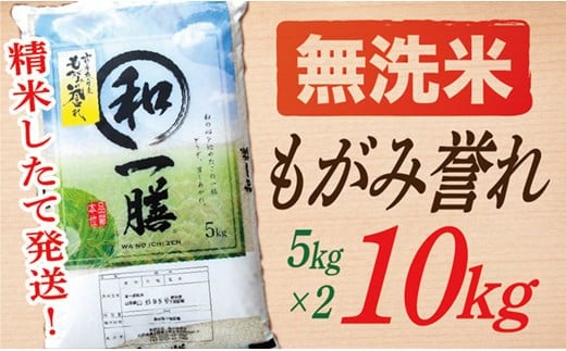 【令和7年産】【無洗米】山形県産もがみ誉れ10kg