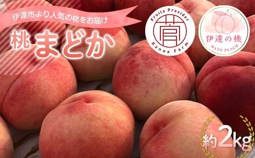 【2026年出荷分先行予約】福島県産 まどか 約2kg (5～7玉) 菅野農園FruitsProvider 大玉 固め 伊達の桃 桃 フルーツ 果物 もも モモ momo F20C-731 952611 - 福島県伊達市