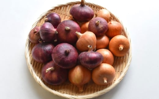 【先行予約：2026年6月頃より順次発送】和らぎ農法 玉ねぎ便 5kg（栽培期間中、農薬・化学肥料・動物性堆肥不使用）/ 赤玉ねぎ セット 詰め合わせ 新鮮 野菜 食べ比べ 旬 /滋賀県 栗東市 / ワダケン リアルソイルハウス [BIBM019]