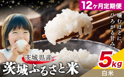 米 茨城 ふるさと米 白米 5kg 5kg×1袋 12回お届け 定期便《お申し込み月の翌々月から出荷開始》茨城県 結城市 米 国産 お米 おこめ お弁当 おにぎり【茨城県共通返礼品】 2301230 - 茨城県結城市