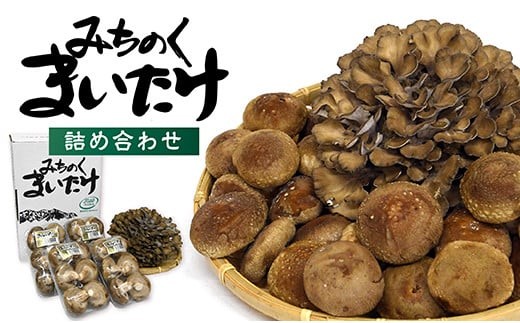 MH31202　最上町産みちのくまいたけと椎茸セット