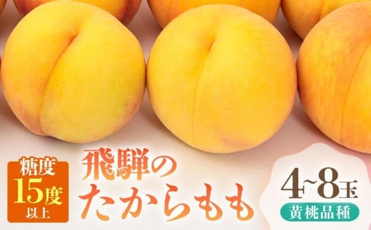【2026年発送・先行受付】飛騨のたから桃(4-8玉)糖度15度以上 黄桃|桃 もも おうとう 極上の甘さ 濃厚な甘さ 甘い 贈答 高級 特選 朝採り 飛騨の朝採り桃 朝採れ農家直送 飛騨高山 つむぎ果樹園 GH011