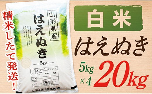 【令和7年産】【白米】山形県産はえぬき20kg