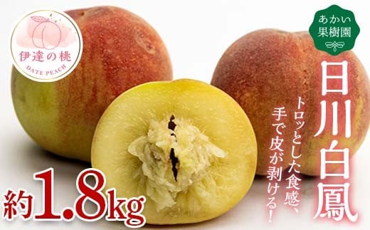 [2026年出荷分先行予約]福島県産 日川白鳳 約1.8kg (6〜12玉) あかい果樹園 伊達の桃 桃 フルーツ 果物 もも モモ momo F20C-447