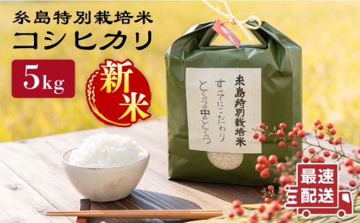 【令和7年産新米】とくべつ の中の とくべつ 糸島 特別栽培米 5kg （ コシヒカリ ）《 糸島 》【株式会社やました】 [ARJ005] 408167 - 福岡県糸島市