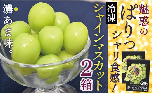 ONM　瞬間冷凍シャインマスカット2箱