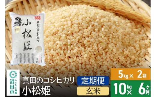 【玄米】《定期便6回》令和7年産 新米受付 真田のコシヒカリ小松姫 10kg（5kg×2袋） 金井農園