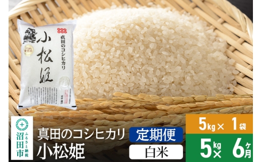 【白米】《定期便6回》令和7年産 新米受付 真田のコシヒカリ小松姫 5kg×1袋 金井農園
