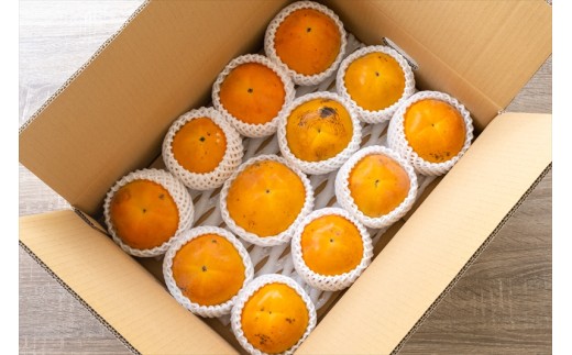 【お買い得】大磯産『太秋柿』10～15個入り（訳あり　約４kg）〈出荷時期:2025年10月中旬～2025年11月中旬〉【 神奈川県 大磯町 】