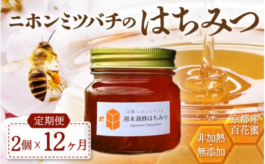 【定期便】 ニホンミツバチのはちみつ 600g×12回 | 京都産 非加熱 国産 百花蜜 自然のままの純粋蜂蜜 はちみつ ハチミツ 蜂蜜 ハニー 瓶詰 （週末養蜂） 毎月定期便 12回定期便 2287887 - 京都府綾部市