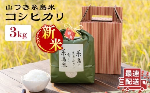 【令和7年産新米】糸島 で 農薬 を使わずに育てた 山つき 糸島米 3kg （ コシヒカリ ）《 糸島 》【株式会社やました】 [ARJ009] 408171 - 福岡県糸島市