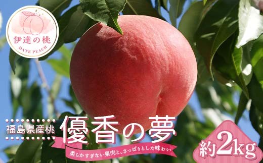 [2026年出荷分先行予約]福島県産 優香の夢(ゆうかのゆめ) 約2kg (6〜9玉) 高橋もも園 ゆうかのゆめ 伊達市で開発 数量限定 伊達の桃 桃 フルーツ 果物 もも モモ momo F20C-729