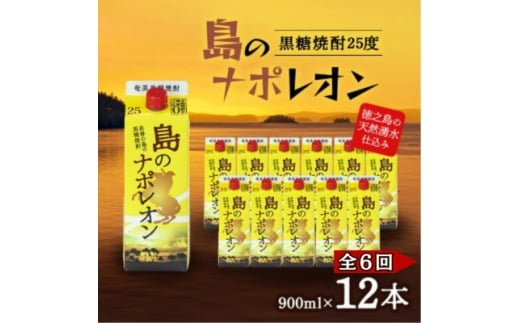 ＜毎月定期便＞奄美黒糖焼酎 島のナポレオン 900ml 紙パック 12本セット全6回【4074149】