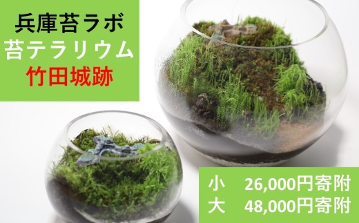 丸型テラリウム 選べるサイズ[小(直径15cm)or大(直径22cm)]天空の城 「竹田城跡」をイメージした苔テラリウム