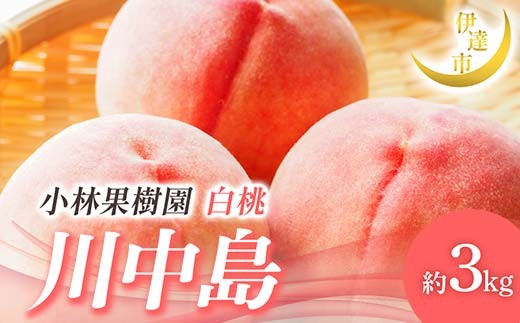 【2026年出荷分先行予約】福島県産 川中島白桃 約3kg (8～12玉) 小林果樹園 伊達の桃 桃 フルーツ 果物 もも モモ momo F21C-008 1733721 - 福島県伊達市
