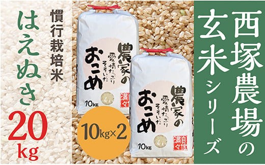 【令和7年産予約】慣行栽培米 はえぬき 玄米 20kg(10kg×2)	
