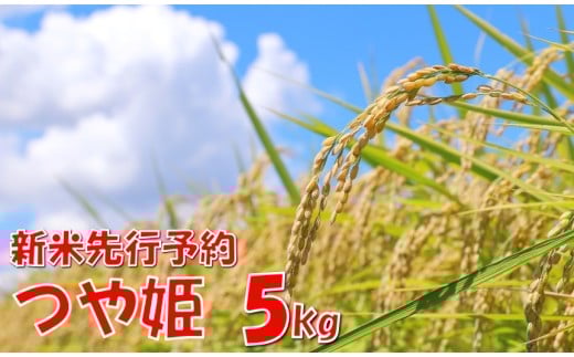 【令和７年産米 先行予約】つや姫5kg　高橋　