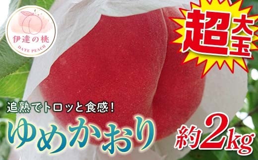 【2026年出荷分先行予約】福島県産 ゆめかおり 約2㎏ (4～6玉) 斎藤果樹園 極大玉 大きめ 固め 伊達の桃 桃 フルーツ 果物 もも モモ momo F20C-372 267154 - 福島県伊達市