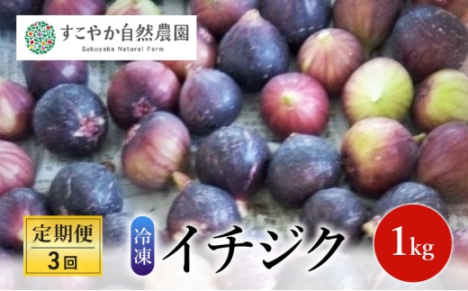 冷凍イチジク 1kg 定期便（3回） 果物 フルーツ 国産 千葉市 [№5346-1511]