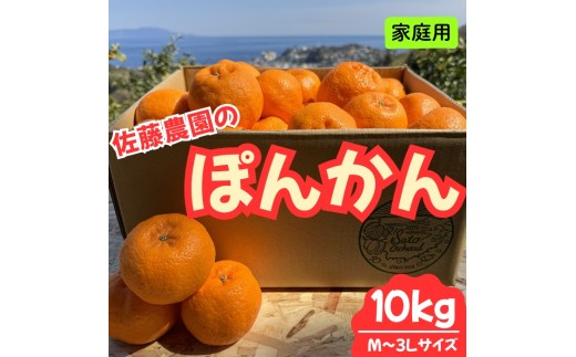東伊豆・佐藤農園のポンカン　家庭用10kg（Mサイズ～3Lサイズ） 1323 ／ 佐藤農園 果物 フルーツ 農家直送 静岡県 東伊豆町 2277305 - 静岡県東伊豆町