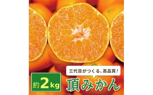 三代目がつくる高品質＜頂みかん＞2kg【1181949】