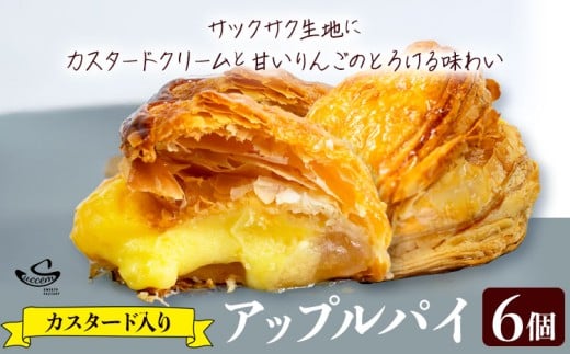 アップルパイ カスタード入り 6個入り (1箱)《30日以内に出荷予定(土日祝除く)》和歌山県 紀の川市 サクセム株式会社 焼き菓子 アップル りんご パイ カスタード