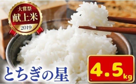 令和7年新米 石井米（とちぎの星） 4.5kg | ふるさと納税 とちぎの星 那珂川町産 美味しい お弁当 おにぎり おいしい 数量限定 ご飯 送料無料 栃木県 那珂川町