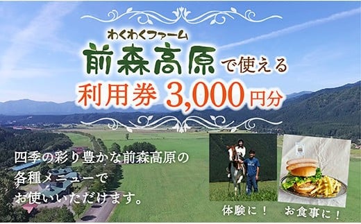 MG前森高原 利用券 3000円分