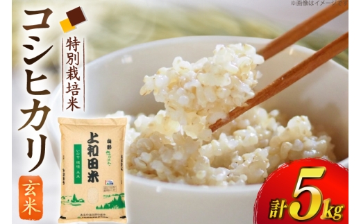 米 令和7年度 特別栽培米 コシヒカリ 玄米 5kg [上和田有機米生産組合 山形県 高畠町 tk06ays640016] お米 玄米 げんまい ブランド米 ごはん ご飯 おこめ 5キロ コシヒカリ 令和7年 令和7年産