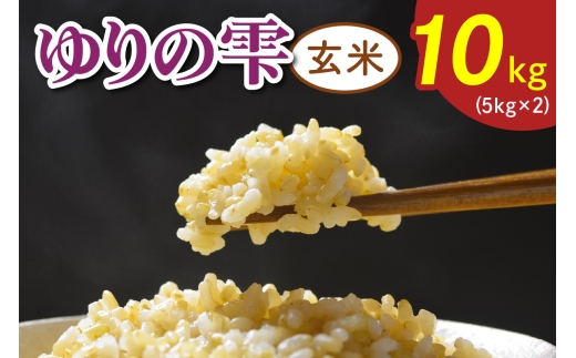 令和7年度産 ゆりの雫《玄米》 10kg (5kg×2)｜米 おこめ ふさおとめ 直送 推奨米 袖ケ浦 千葉 [0521]