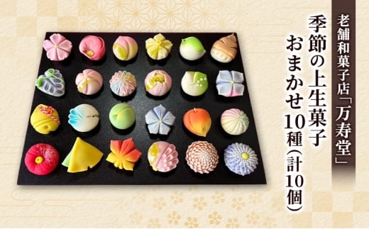創業明治44年［菓子司 万寿堂］季節の上生菓子 おまかせ10種（計10個） 秋田 羽後 西馬音内 【菓子 和菓子 生菓子 上生菓子 スイーツ かわいい 高級 老舗 お取り寄せ ギフト】