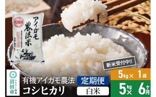 【白米】《定期便6回》令和7年産 新米受付 有機アイガモ農法コシヒカリ 5kg×1袋 金井農園