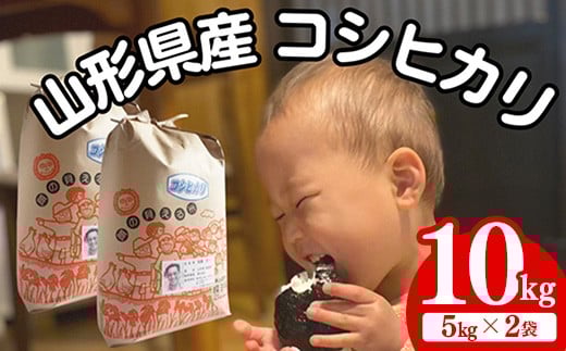 生産者の顔が見える米　コシヒカリ　白米 10kg（飯豊町産）(R7年産）