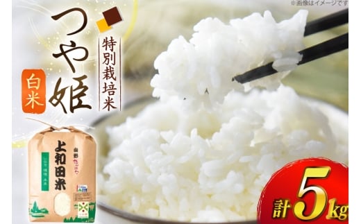 米 令和7年度 特別栽培米 つや姫 白米 5kg [上和田有機米生産組合 山形県 高畠町 tk06ays640013] お米 精米 ブランド米 ごはん ご飯 ごはん おこめ 5キロ つやひめ 令和7年 令和7年産