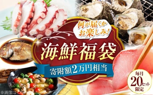 【何が届くかお楽しみ】旬の海の幸福袋 寄附額2万円相当 魚介類 海産物 海鮮 刺身 広島 海鮮 魚介類 冷凍 水産加工品 海藻 鮮魚 さかな 刺身 詰め合わせ セット 小分け 海鮮丼 加工品 惣菜 刺身 真空パック 小分け タコ たこ 蛸 はまち ハマチ 魬 しらす シラス 料理 和食 時短 便利 ギフト 広島県産 人気 送料無料 江田島市/七宝丸 [XBY005]