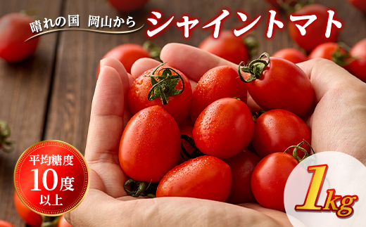 シャイントマト　1キロ 500g×2袋【1607127】