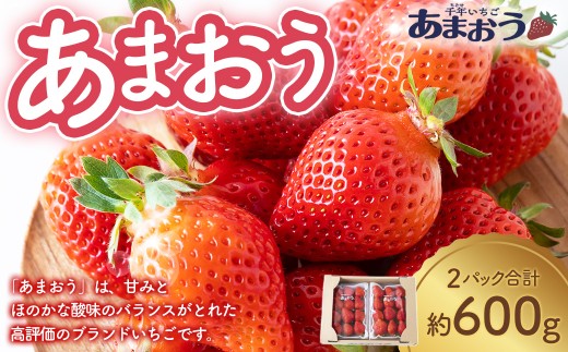 千年いちご あまおうイチゴ (300g×2パック) 2月お届け あまおう いちご イチゴ 苺 フルーツ 果物 冷蔵 送料無料 福岡県 うきは市 【2026年2月より順次発送予定】 305388 - 福岡県うきは市