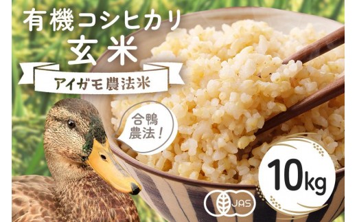 [令和7年産]有機 コシヒカリ 玄米 10kg 有機栽培 有機米 特別栽培米 合鴨農法 こしひかり お米 米 おこめ ブランド米 こしひかり 10キロ 国産 単一原料米 コメ こめ ご飯 銘柄米 茨城県産 茨城 産直 産地直送 農家直送 ごはん 家庭用 贈答用 茨城県 石岡市 (B03-004)