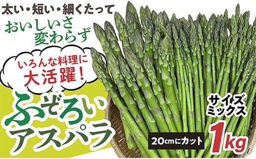 【今が旬！】最上町特産 ふぞろい グリーンアスパラ1kg  1360233 - 山形県最上町