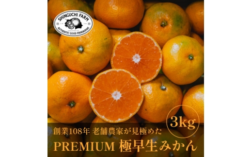 ＜数量限定＞老舗農家が見極めたプレミアム＜極早生みかん3kg＞愛媛県川上産＜A70-66＞【1615054】