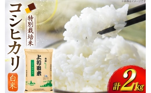 米 令和7年度 特別栽培米 コシヒカリ 白米 2kg [上和田有機米生産組合 山形県 高畠町 tk06ays640006] お米 精米 ブランド米 ごはん ご飯 おこめ 2キロ コシヒカリ 令和7年 令和7年産
