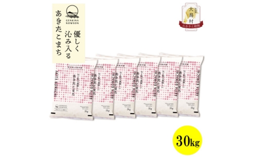 ＜毎月定期便＞秋田県産あきたこまち白米30kg(5kg×6)全6回【4072909】 2288864 - 秋田県大潟村