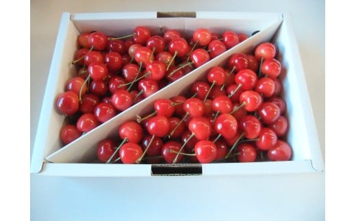 さくらんぼ（佐藤錦か紅秀峰）１ｋｇ　秀品　0030-2604