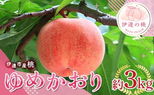【2026年出荷分先行予約】福島県産 ゆめかおり 約3kg (6～12玉) サトー農園 新品種 超大玉 大玉 固め 伊達の桃 桃 フルーツ 果物 もも モモ momo F20C-839