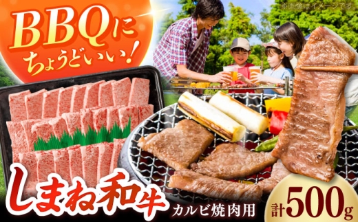 [焼肉におすすめ!]しまね和牛カルビ 500g 和牛 牛肉 国産 国産牛 赤身 焼肉 ステーキ スライス 人気 黒毛和牛 BBQ ギフト 島根県雲南市/フジキコーポーレーション株式会社 [AIEA010]