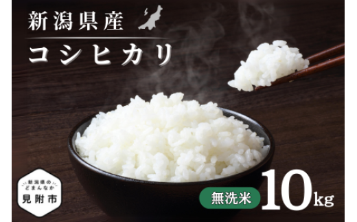 令和7年産 新潟県産 コシヒカリ 10kg 無洗米 新米 お米 白米 コシヒカリ こしひかり おすすめ 人気 こめ コメ 新潟 見附 見附市 7年 2025年産 ふるさと納税 諸長 1417644 - 新潟県見附市