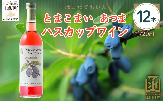 とまこまい あつまハスカップワイン　720ml　12本 【 ふるさと納税 人気 おすすめ ランキング ワイン わいん ハスカップワイン とまこまい あつま セット お酒 アルコール 北海道 七飯町 送料無料 】 NAX046