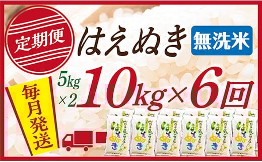 【定期便】【無洗米】令和7年産 山形県産 はえぬき 10kg (5kg×2)  6回配送【初回R8年1月発送】 1522997 - 山形県最上町